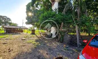 Imagem 5: Sitio com otima oportunidade de produtividade e lucratividade . codigo: 74117