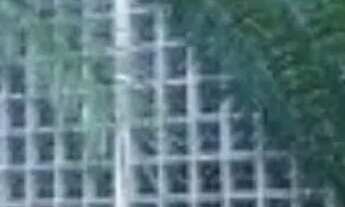 Imagem 7: Apartamento em Rua Januário Zingaro - Jardim Paris - São Paulo/SP