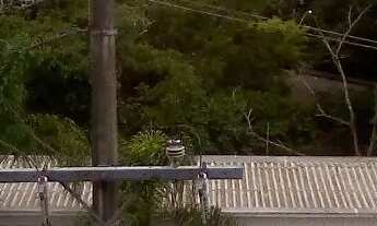 Imagem 6: Vende-se Apto. 2 Dor. C/ Box. Piscina próx. Loja Havan e shopping Bairro Operario NH