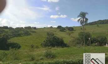 Imagem 2: FAZENDA (170 hectares), CASA SEDE EXCELENTE. COMPLETA INFRAESTRUTURA PARA OPERAÇÃO E PRODU