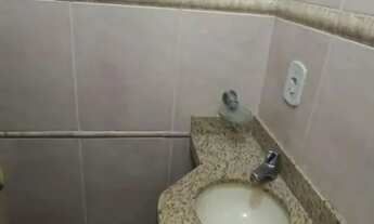 Imagem 6: Casa para Venda em Volta Redonda / RJ no bairro Jardim Suiça