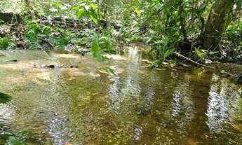 Imagem 7: FAZENDA COM RIO E MUITA ÁGUA