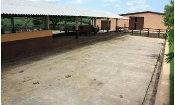 Imagem 7: Fazenda em São Pedro