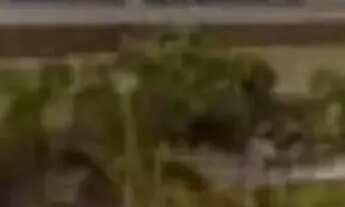 Imagem: Link Office III