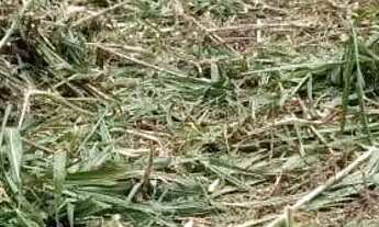 Imagem 2: Terreno 150m2, Atibaia jd Imperial