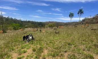Imagem 5: Oportunidade para quem precisa de terreno em Mairiporã Terra Preta