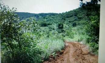 Imagem 2: Fazenda oportunidade em Barro Alto 125 alqueires