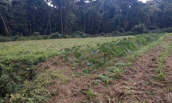 Imagem 6: Santa maria jequitibaES