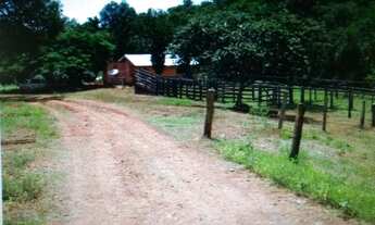 Imagem 5: Fazenda oportunidade em Barro Alto 125 alqueires