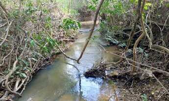 Imagem 7: Chácara entre Bela Vista e Piracanjuba com riacho a 80 km de Goiânia 2 hectares