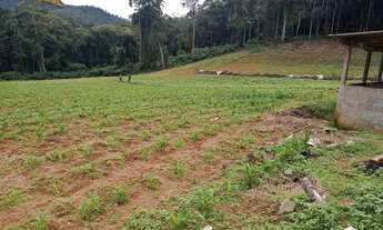 Imagem 5: Santa maria jequitibaES