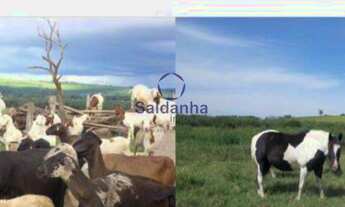 Imagem 6: Santana do Itararé - Fazenda - RURAL