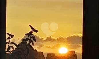 Imagem 3: São Paulo - Apartamento Padrão - VILA MARIANA