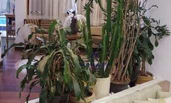 Imagem 7: Casa de 558 m², com 4 dorm. sendo 2 suítes, a venda por $8mi ou aluguel por $30k/mês - Alp