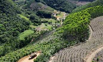 Imagem 6: Sitio em Domingos Martins (Melgaço