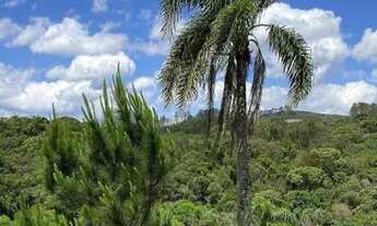 Imagem 3: Ótimos terrenos em São Roque