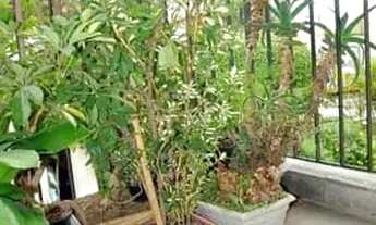 Imagem 4: Apartamento antigo em Vila Mariana - São Paulo