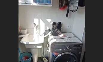 Imagem 7: Cobertura com 2 dorms, José Menino, Santos - R$ 1.2 mi, Cod: 93796