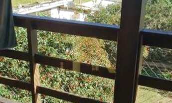 Imagem 6: Casa em contato com a natureza Praia do Rosa em Imbituba-SC