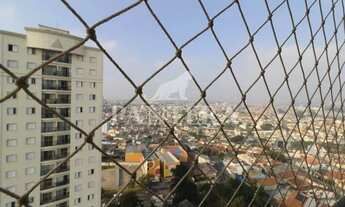 Imagem 7: Apartamento para aluguel no bairro Vila Curuça