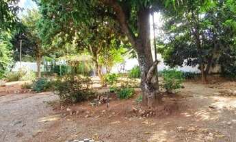 Imagem 4: Chacara na Zona Norte