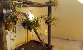 Imagem 5: Casa com 5 dormitórios à venda em Florestal