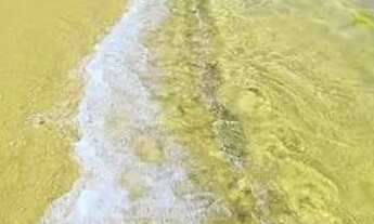 Imagem: Casa Rústica praia