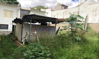 Imagem 5: Casa - Cambuí - Campinas