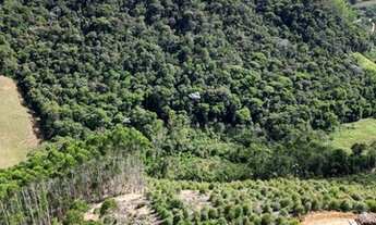 Imagem 2: Sitio em Domingos Martins (Melgaço