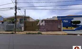 Imagem 2: Casa (edícula) 1 dormitórios