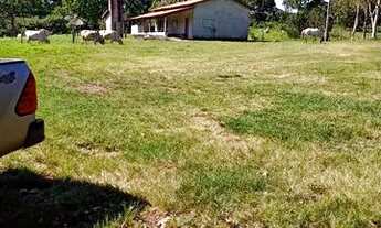 Imagem 5: Fazenda de 61 Alqueires ! Região de Estrela do Norte - GO !