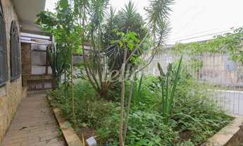 Imagem 3: São Paulo - Casa Padrão - São Lucas