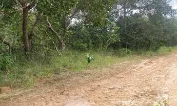 Imagem 3: FAZENDA À VENDA EM RIACHÃO - MA - 2.120 HECTARES (DUPLA APTIDÃO