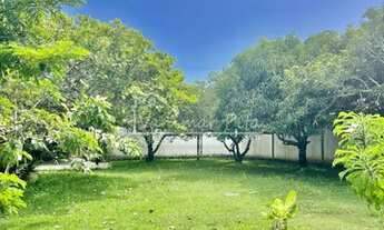 Imagem 6: Casa para venda tem 220 m2 com 4 quartos em - Barra de São Miguel - Alagoas