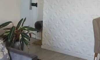 Imagem 2: Apartamento ao lado do metrô d.pedro