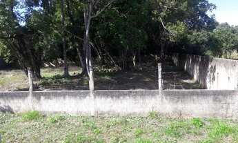 Imagem: Area em Pontal do Sul