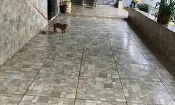 Imagem 5: Alugo casa no Parque São Jorge