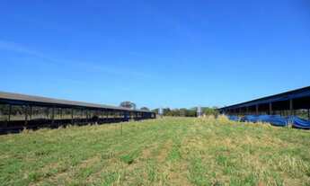 Imagem: Sítio 10,0 hectares, 100 plano, casa