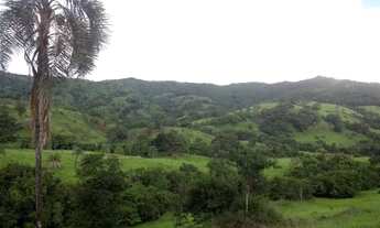 Imagem: Fazenda 28,5 alqueires cidade de goias