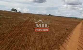 Imagem 4: Fazenda em Arenópolis-GO. 92 Alqueires