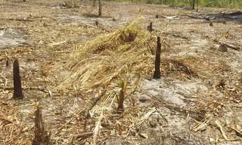 Imagem 5: Vendo terreno 100 x 28 no arraial/santahellena São Luís