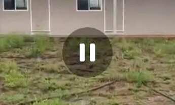 Imagem 3: Fazenda de arrendamento em pasto 4800 hec em primavera faz do leste