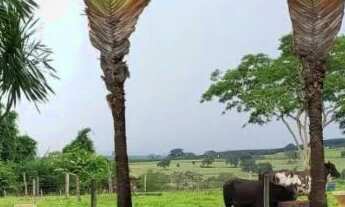 Imagem 7: Chácara no Asfalto com piscina