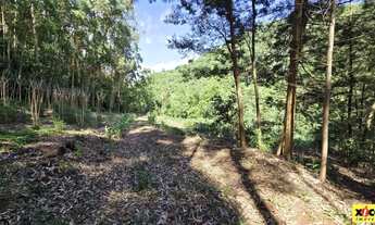 Imagem 2: Sítio / Chácara para Venda em Nova Petrópolis, São Jacó