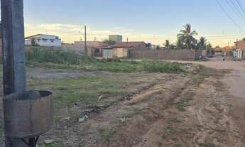 Imagem 2: Terreno em barra de santo Antônio na ilha da crôa