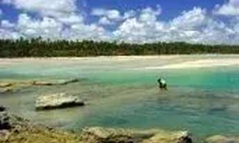 Imagem 6: Studio PÉ NA AREIA NA PRAIA DE TAMANDARE lazer completo