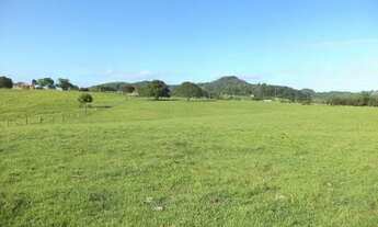 Imagem 7: Área de terras 11,67ha em Catanduvinha, Santo Antônio da Patrulha