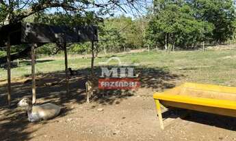 Imagem 7: Chácara 2 alqueires (9,68 hectares) Vianópolis - Go