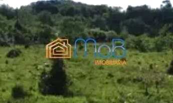 Imagem: Oportunidade Única para Investidores e