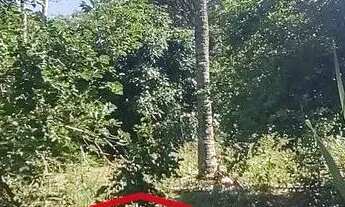 Imagem 4: TERRENO PARA VENDER EM CAÇAPAVA